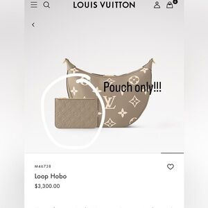 Louis Vuitton Loop Hobo Pouch ONLY